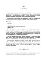 Referāts 'Peļņas vai zaudējuma aprēķina nepieciešamība un nozīme uzņēmumā', 4.