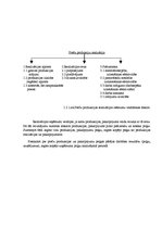 Referāts 'Peļņas vai zaudējuma aprēķina nepieciešamība un nozīme uzņēmumā', 5.