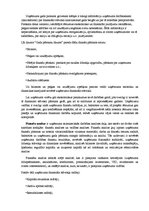 Referāts 'Peļņas vai zaudējuma aprēķina nepieciešamība un nozīme uzņēmumā', 8.