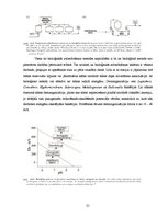 Referāts 'Piesārņojuma avotu identifikācija ūdens attīrīšanas iekārtu tehnoloģiskajā proce', 21.