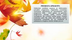 Prezentācija 'Robežapsardzības informācijas sistēma "Rais 2009"', 4.