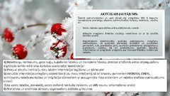 Prezentācija 'Robežapsardzības informācijas sistēma "Rais 2009"', 5.