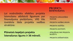 Prezentācija 'Robežapsardzības informācijas sistēma "Rais 2009"', 7.