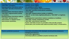 Prezentācija 'Robežapsardzības informācijas sistēma "Rais 2009"', 11.