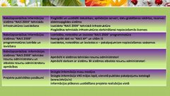 Prezentācija 'Robežapsardzības informācijas sistēma "Rais 2009"', 14.