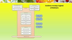 Prezentācija 'Robežapsardzības informācijas sistēma "Rais 2009"', 17.
