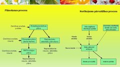 Prezentācija 'Robežapsardzības informācijas sistēma "Rais 2009"', 19.