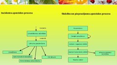 Prezentācija 'Robežapsardzības informācijas sistēma "Rais 2009"', 20.