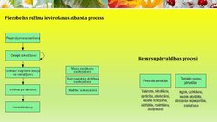 Prezentācija 'Robežapsardzības informācijas sistēma "Rais 2009"', 21.