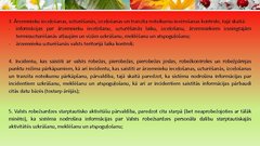 Prezentācija 'Robežapsardzības informācijas sistēma "Rais 2009"', 27.