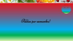 Prezentācija 'Robežapsardzības informācijas sistēma "Rais 2009"', 30.