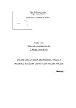 Konspekts 'Valsts loma ekonomikā. Fiskālā politika', 1.