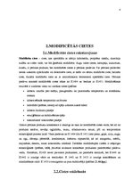 Referāts 'Stabilizatori pārtikas rūpniecībā', 4.