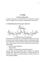 Referāts 'Stabilizatori pārtikas rūpniecībā', 13.