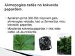 Prezentācija 'Akmeņogles', 3.