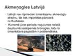 Prezentācija 'Akmeņogles', 10.