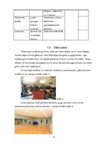 Referāts 'Industrijas analīze biznesa plānam', 6.