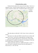 Referāts 'Industrijas analīze biznesa plānam', 13.