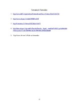 Referāts 'Industrijas analīze biznesa plānam', 17.