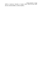 Eseja 'Viduslaiku cilvēka īpašību un pasaules izjūtas salīdzinājums ar mūsdienu cilvēku', 2.