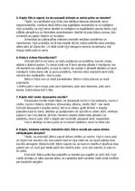 Konspekts 'Alberta Bela romāns "Būris"', 2.