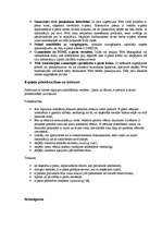 Referāts 'E-pasta mārketinga potenciāls un iespējas', 6.