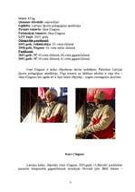 Referāts 'Jānis un Ivars Ciaguni – Latvijas izcilākie kalnu slēpotāji', 3.