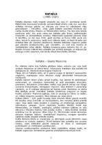 Referāts 'Madonnas sižeta atspoguļojums dižāko gleznotāju darbos', 5.