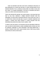 Referāts 'Cilmes šūnas un to aktualitāte mūsdienās', 16.