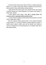 Referāts 'Valsts darba inspekcijas statuss un kompetence', 11.