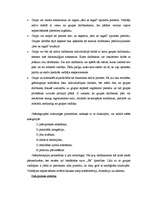 Referāts 'Geštaltterapija grupā', 9.