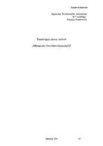 Referāts 'Mātesplašu formfaktori', 1.