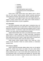 Referāts 'Krājumi', 20.