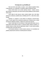 Referāts 'Krājumi', 28.