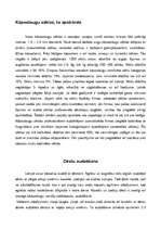 Referāts 'Kāpostu dēstu audzēšana', 3.