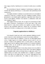 Referāts 'Kāpostu dēstu audzēšana', 9.