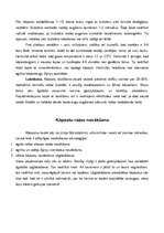 Referāts 'Kāpostu dēstu audzēšana', 11.