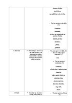 Referāts 'Svešvārdi 1993.gadā izdotajā bērnu laikrakstā "Laba"', 31.