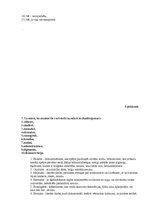 Referāts 'Svešvārdi 1993.gadā izdotajā bērnu laikrakstā "Laba"', 38.
