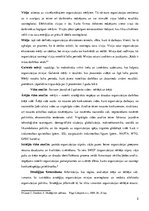 Konspekts 'Uzņēmuma stratēģija un politika. Stratēģiskās vadīšanas process, stratēģiskā dom', 5.