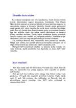 Referāts 'Pilsoņu karš ASV', 3.