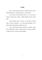 Konspekts 'Papīra ražošana', 3.