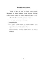 Konspekts 'Papīra ražošana', 5.