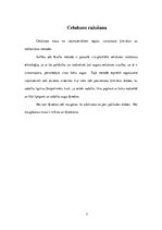 Konspekts 'Papīra ražošana', 7.