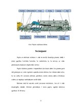 Konspekts 'Papīra ražošana', 11.