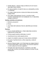 Konspekts 'Jāņa Čakstes raksturojums', 3.