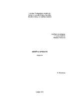 Referāts 'Liepājas arhīva apskate', 1.