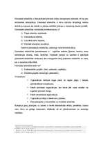 Konspekts 'Demokrātisko režīmu salīdzinošā analīze', 4.