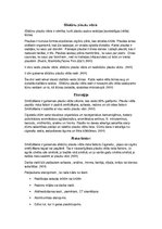 Prakses atskaite 'Klīniskais gadījums. Sīkšūnu plaušu vēzis', 4.