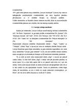 Referāts '"Air Baltic" mārketinga darbība', 5.